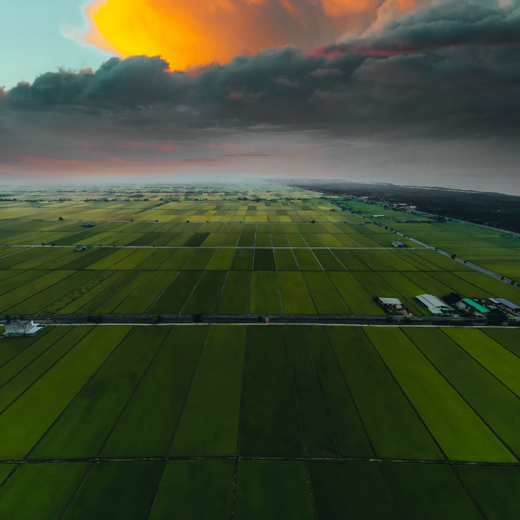 Rainbow county plot layout